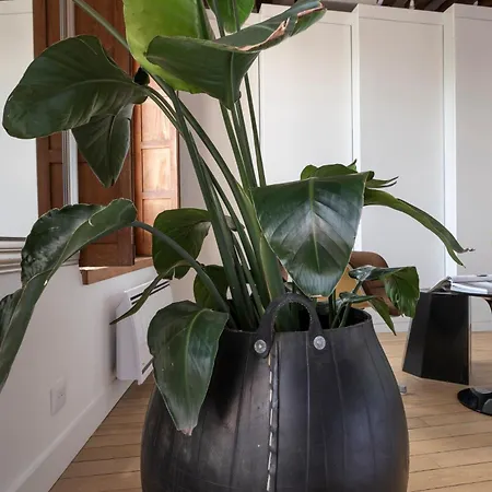 Appartement Notre-dame Stunning 2 Bedroom Air Conditioned Flat